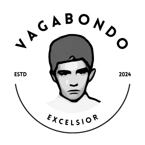 VG-website-header-logo